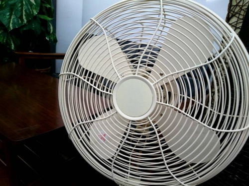 生活家電・家事家電の扇風機