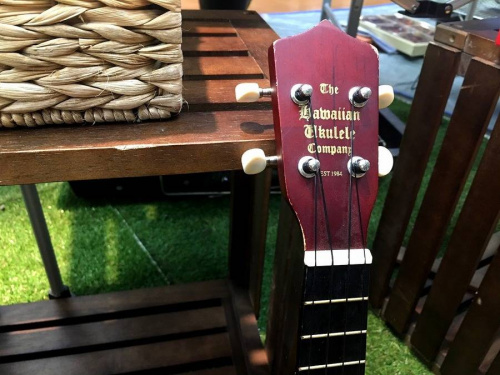 THE HAWAIIAN UKULELE COMPANY