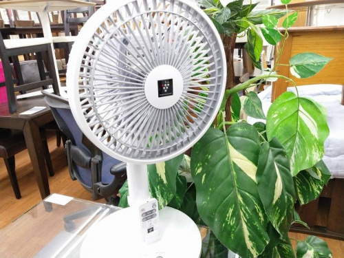 生活家電・家事家電の扇風機