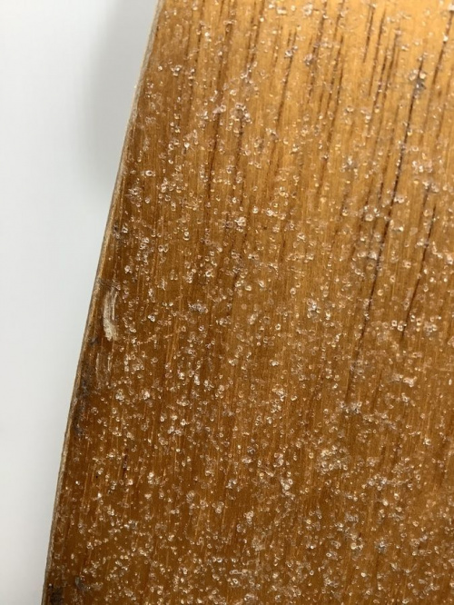 ARBOR Kelly Slater Apineのアーバー ケリースレーターアルプス
