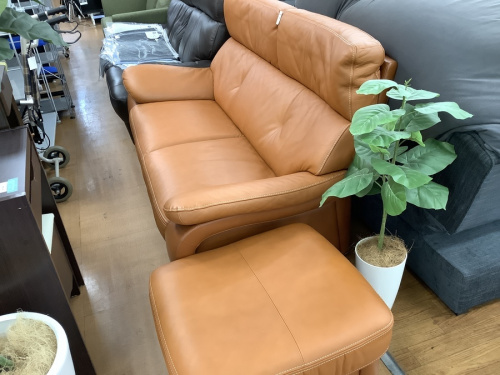 家具のカリモク