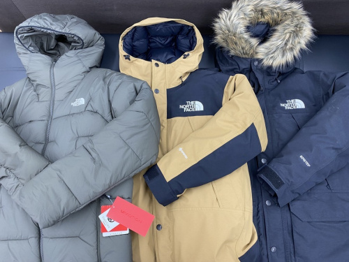 THE NORTH FACEのCANADA GOOSE
