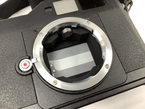 ミラーレスカメラのR-D1