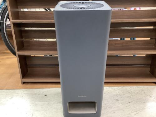 バルミューダのA01A-GR