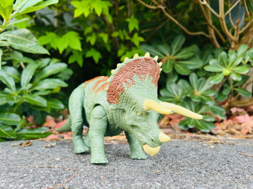 トレファクブログ画像3