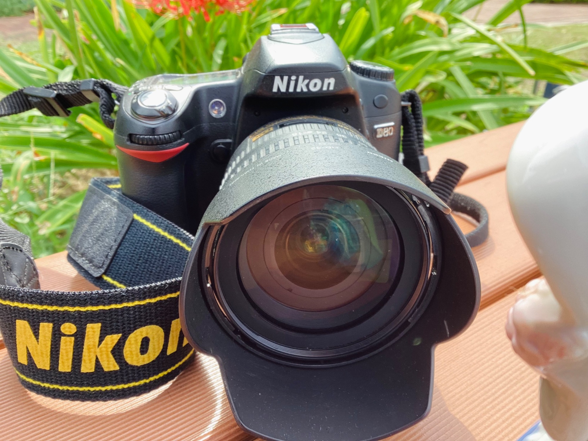 芸術の秋】Nikonのデジタル一眼レフカメラのご紹介です！！｜2025年10