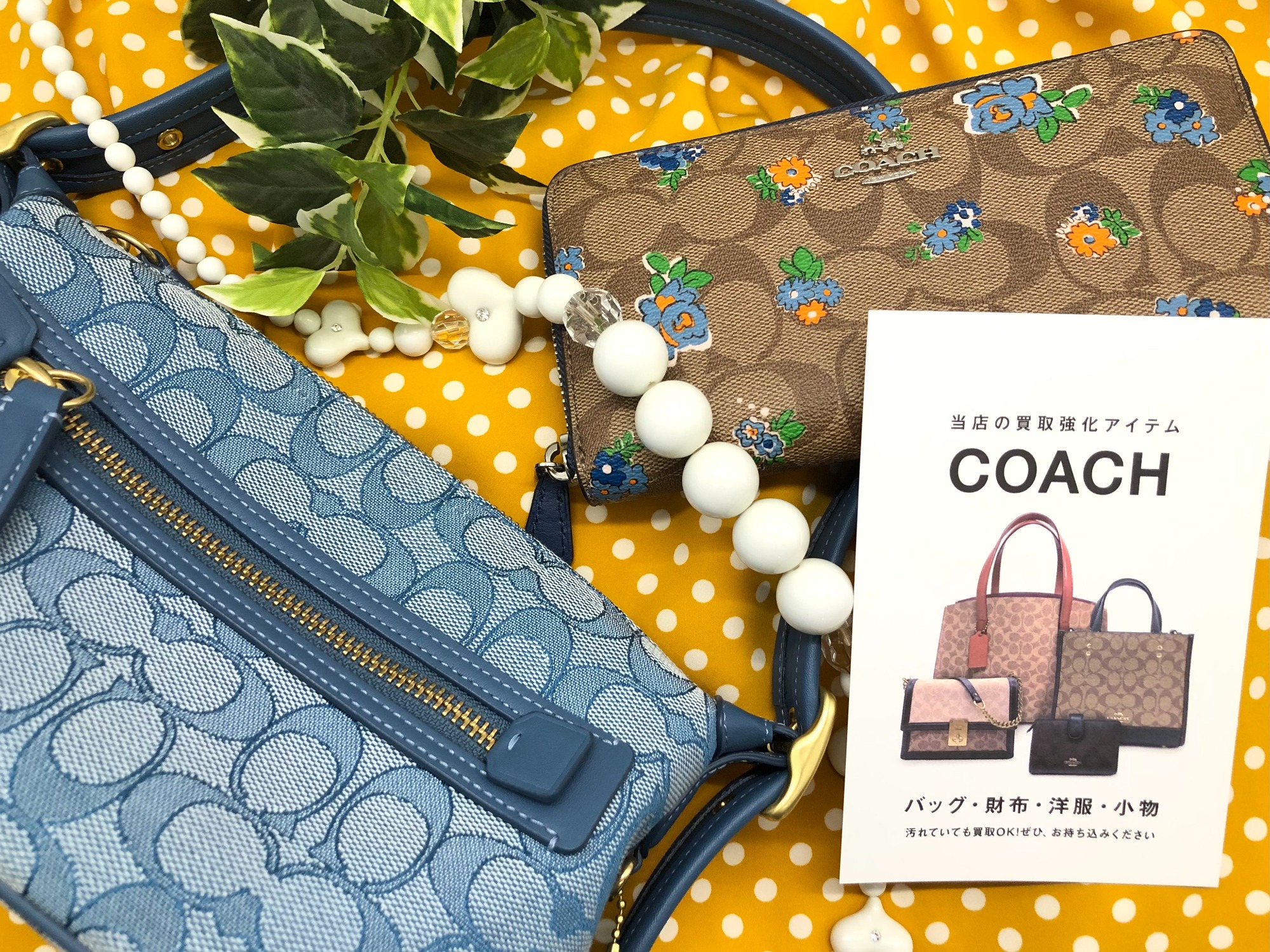 COACH（コーチ）買取強化中！！！特にシグネチャーは大歓迎です  