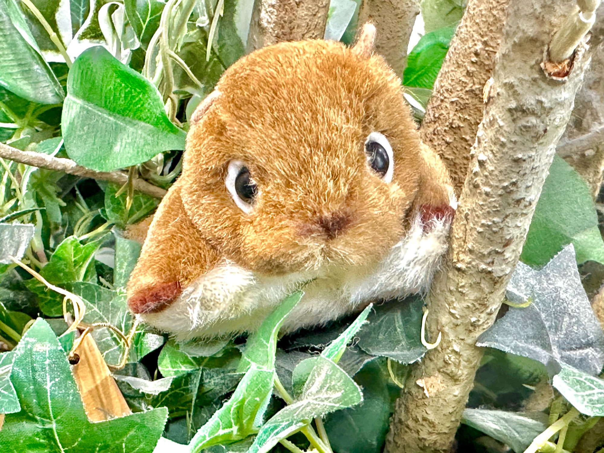 このふわふわが最高です】やまね工房 ももんが ぬいぐるみ 入荷