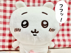 トレファク南柏店ブログ