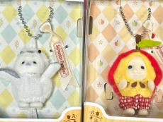トレファク南柏店ブログ