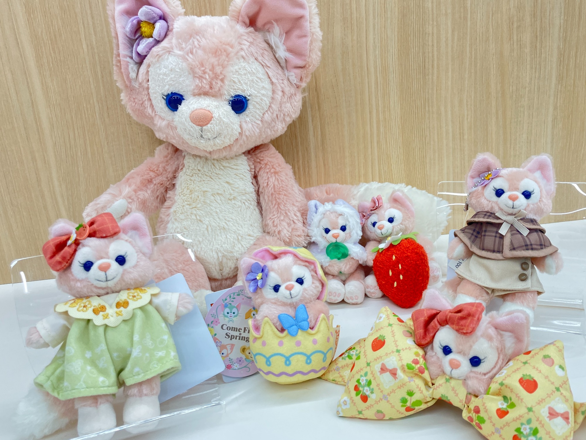 ﾃﾞｨｽﾞﾆｰｸﾞｯｽﾞ買取強化中】リーナベル大量入荷しました！！｜2025年11月