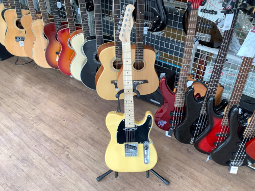 Bacchus（バッカス）テレキャスタータイプ入荷しました！！ ｜2023年03