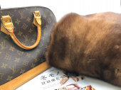 トレファク北越谷店ブログ