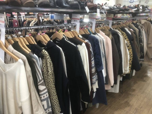 moussy