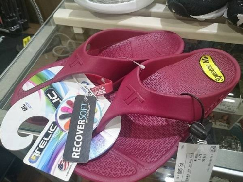 TELIC