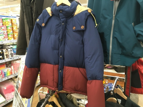 THE NORTH FACEのPatagonia