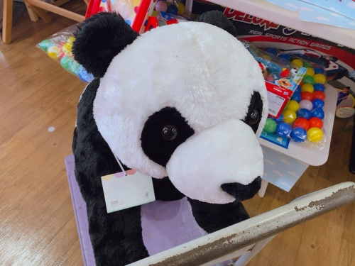 家具のイス