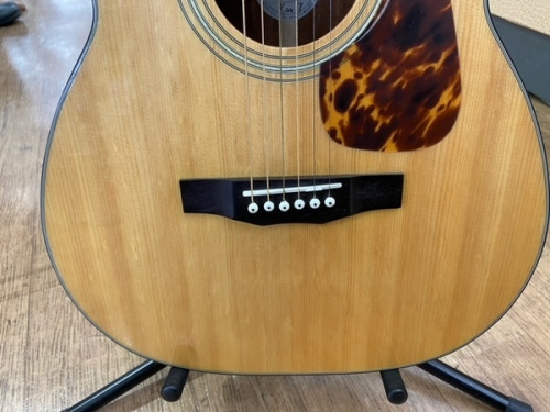 アコースティックギターのMORRIS モーリス