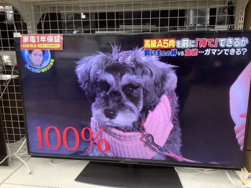 テレビの液晶テレビ