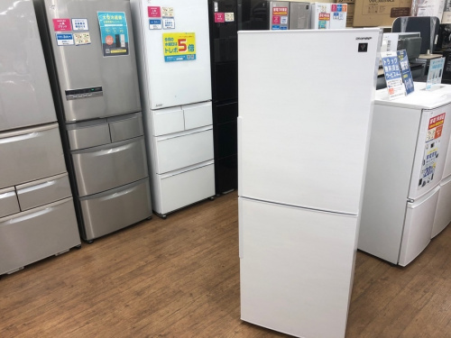キッチン家電の冷蔵庫