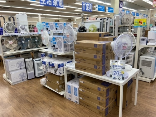 生活家電の扇風機 リビング扇風機 卓上扇風機