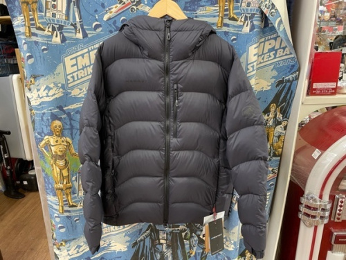 ジャケットのダウンジャケット