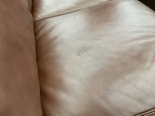 ニトリの越谷レイクタウン