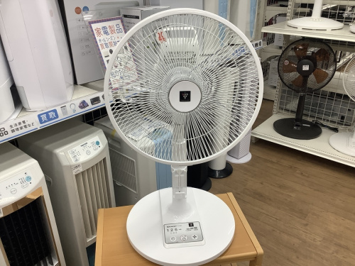 季節家電の扇風機
