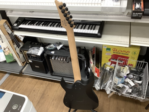 ibanezのアイバニーズ