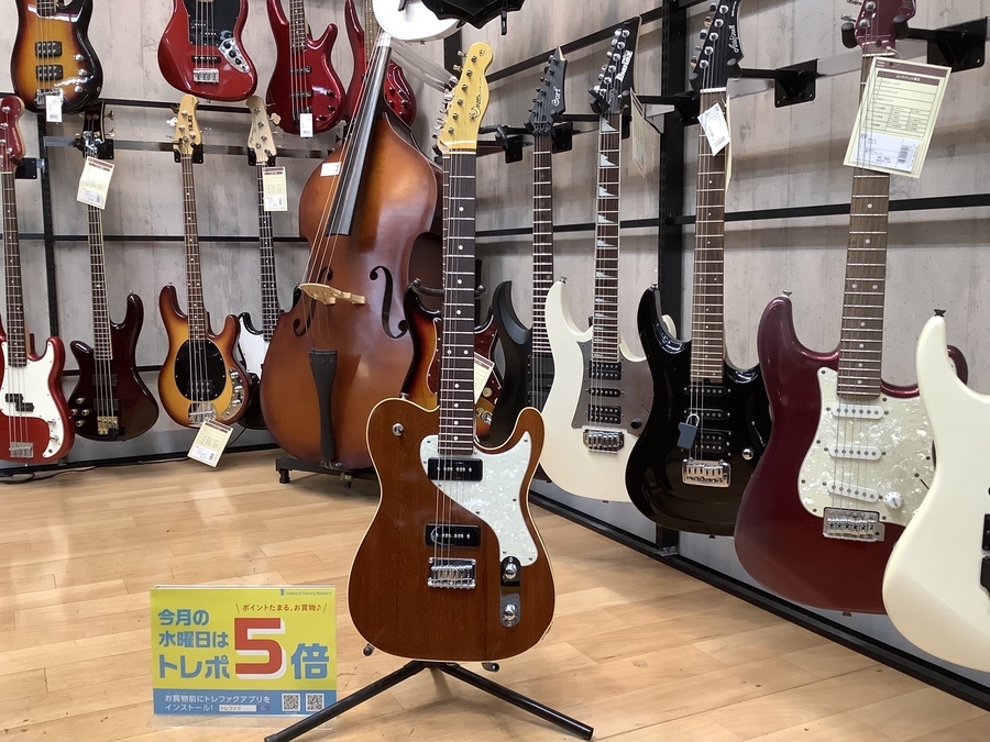 Moon（ムーン）のRM-DXⅡ レゲエマスターが買取入荷しました