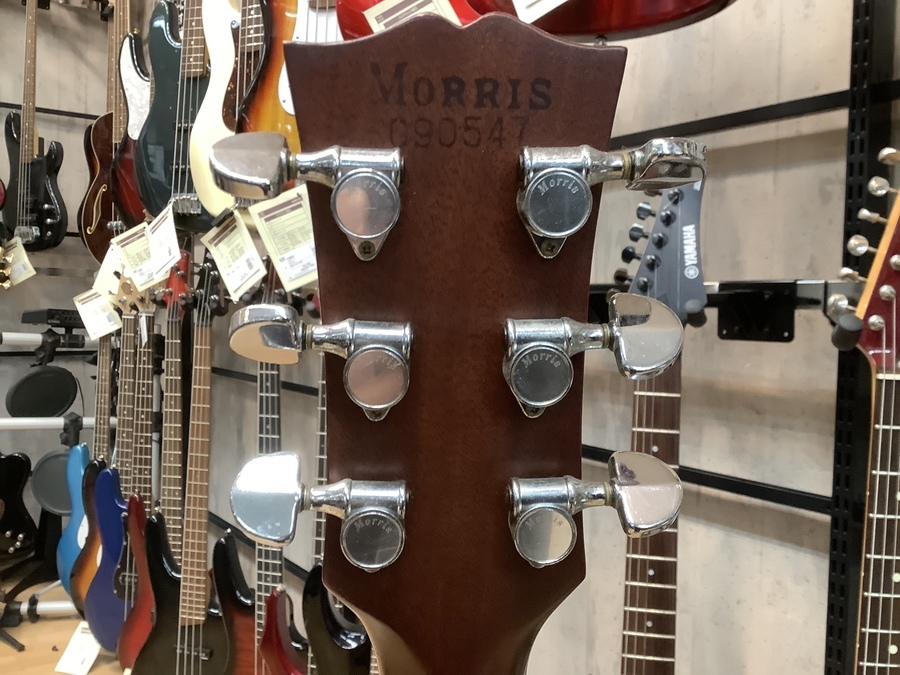 通称ヒゲギター！Morris（モーリス）のWJ-50が入荷しました