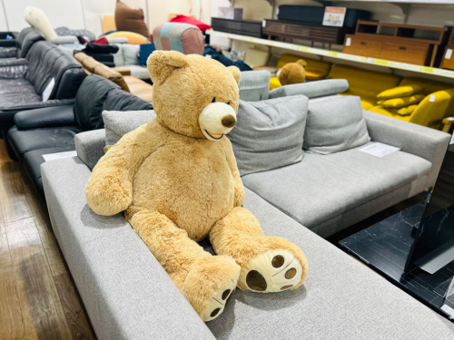 トレファクブログ画像5