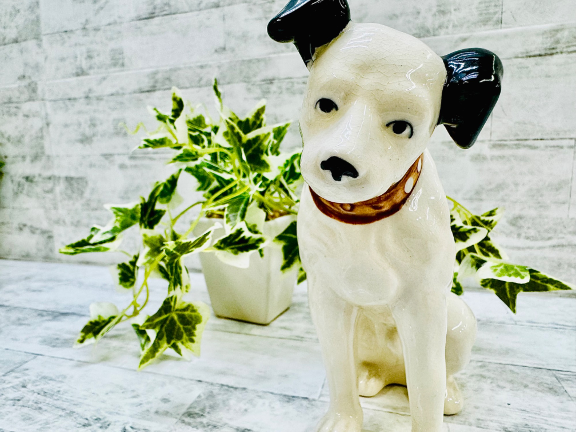 ビクター犬　ニッパーくん　ジャックラッセルテリア 美品 ニッパー君◇ビクター犬◇ジャック・ラッセル・テリア◇ブル