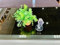 トレファク南大沢店ブログ