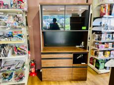 トレファク南大沢店ブログ
