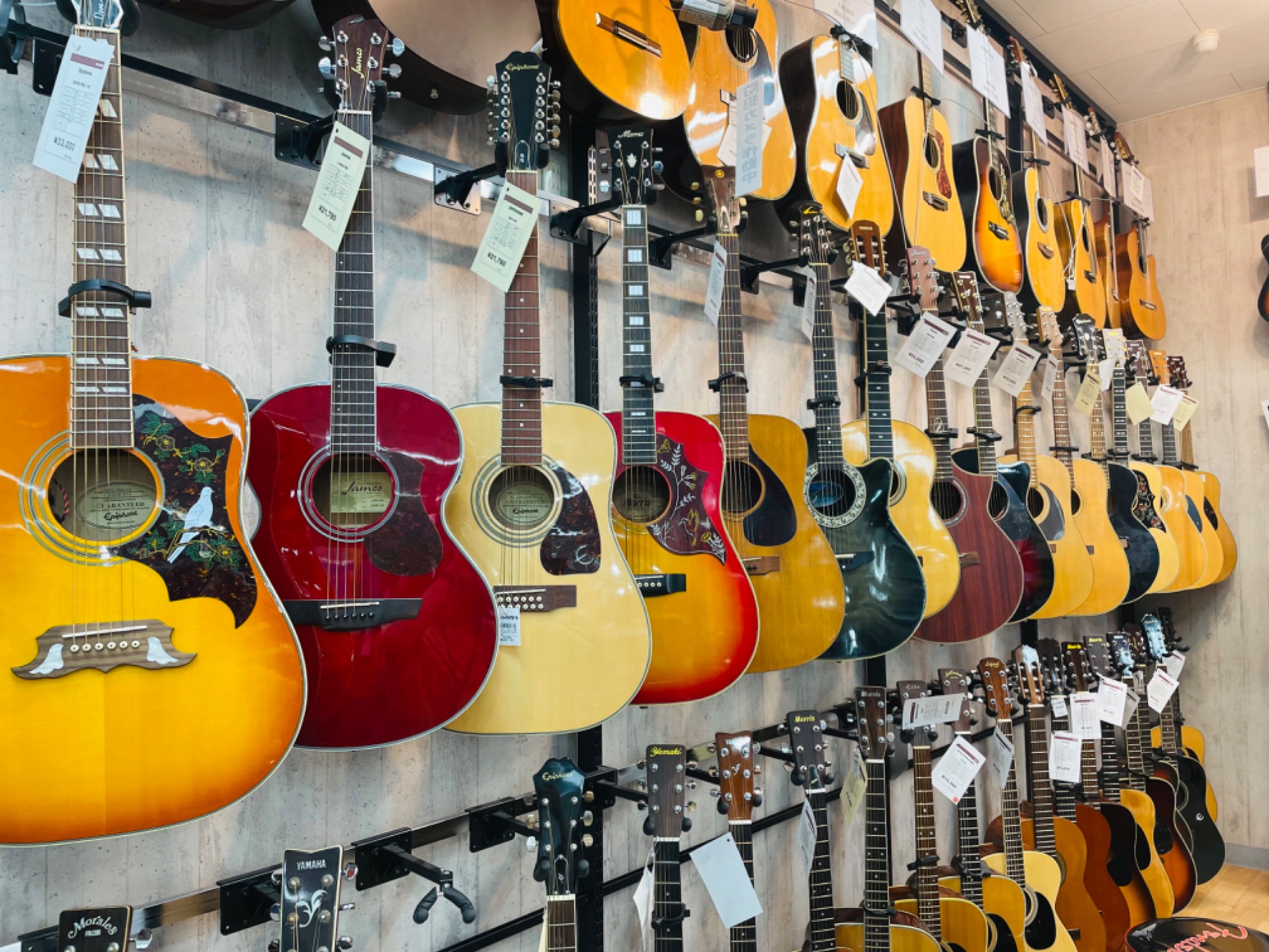 HISTORY (ヒストリー) エレキギターSH-SV/R Heritage Wood