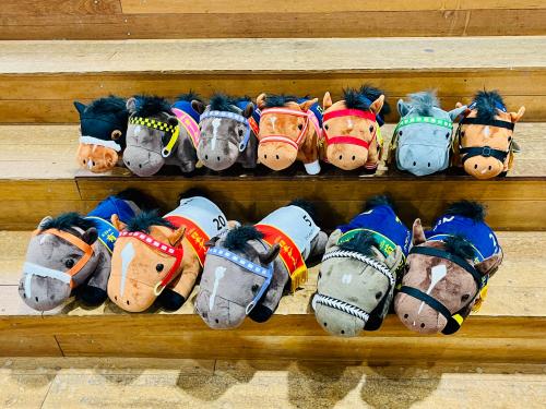 サラブレッドコレクション 多数セット サラブレッドコレクション プライズの情報サイト | エスケイジャパン