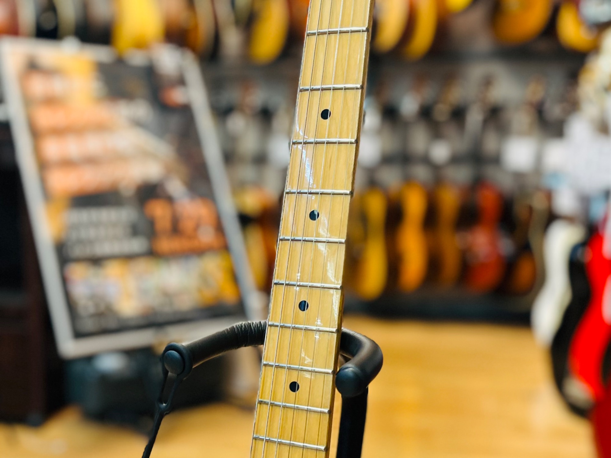 SCHECTER (シェクター) エレキギター Order Model（TLシェイプ、ブルー