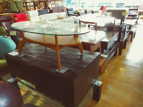 センターテーブルのキツツキ