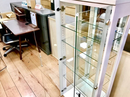 コレクションボードのキュリオケース