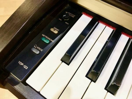 17年01月20日：画像８