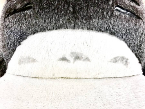 ソファーの南大沢