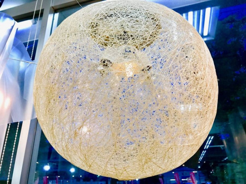 17年05月28日：画像７