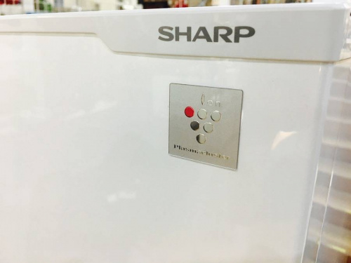 17年06月13日：画像７