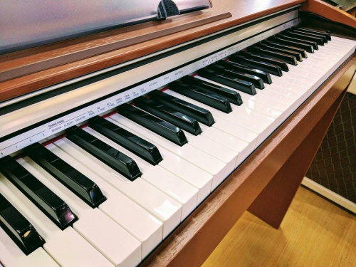 カシオ(CASIO)