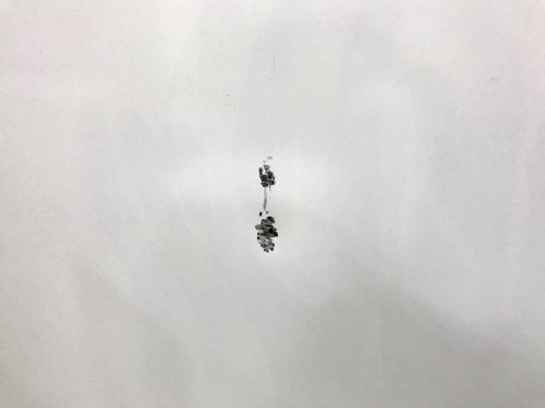 八王子中古冷蔵庫の南大沢