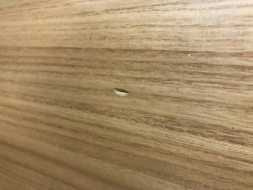 トレファクブログ画像４