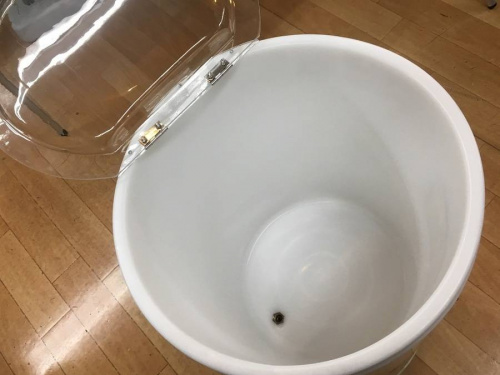 バーベキュー用品のクーラーボックス