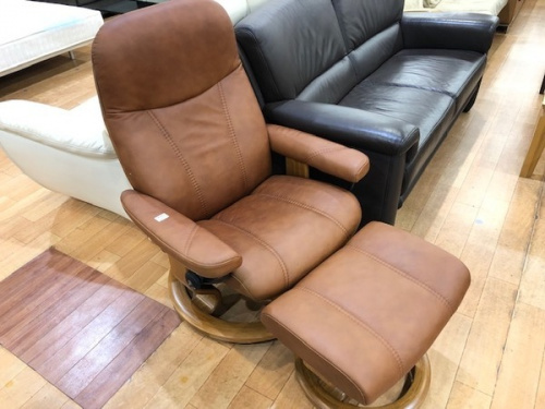 いちおし特選家具のエコーネス