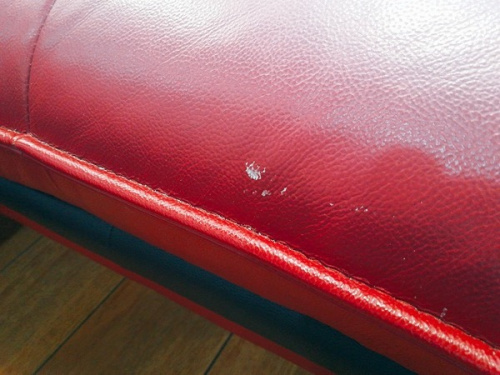 19年05月27日：画像６